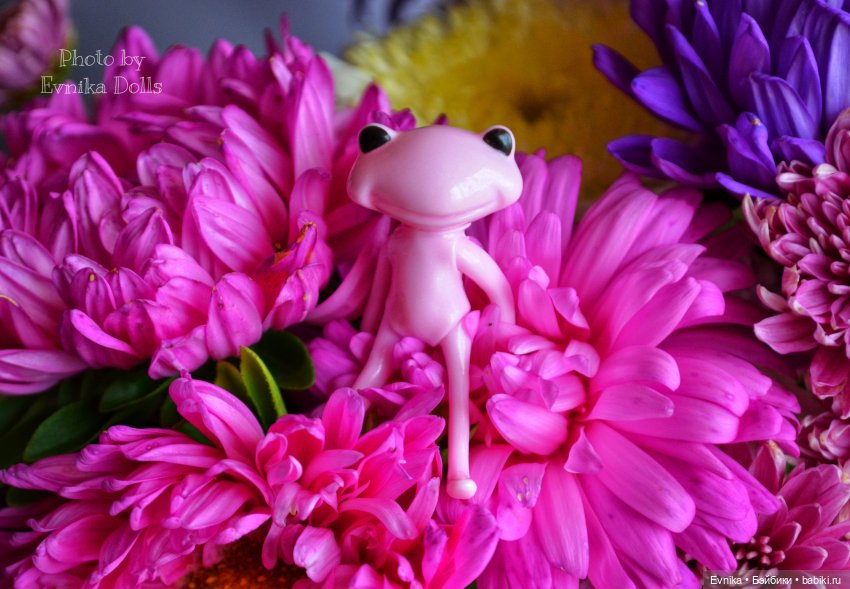 Ловись лягушка большая и маленькая