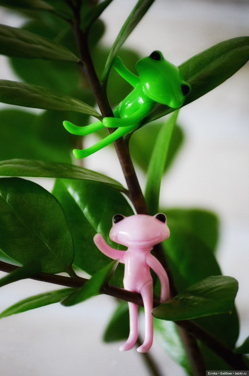 Ловись лягушка большая и маленькая