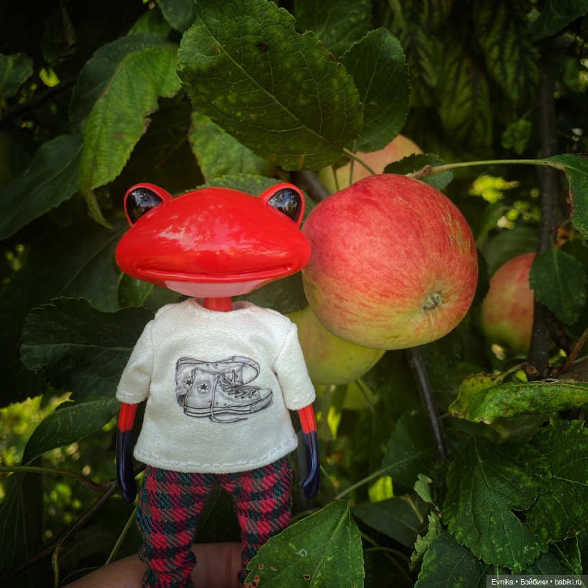 Ловись лягушка большая и маленькая