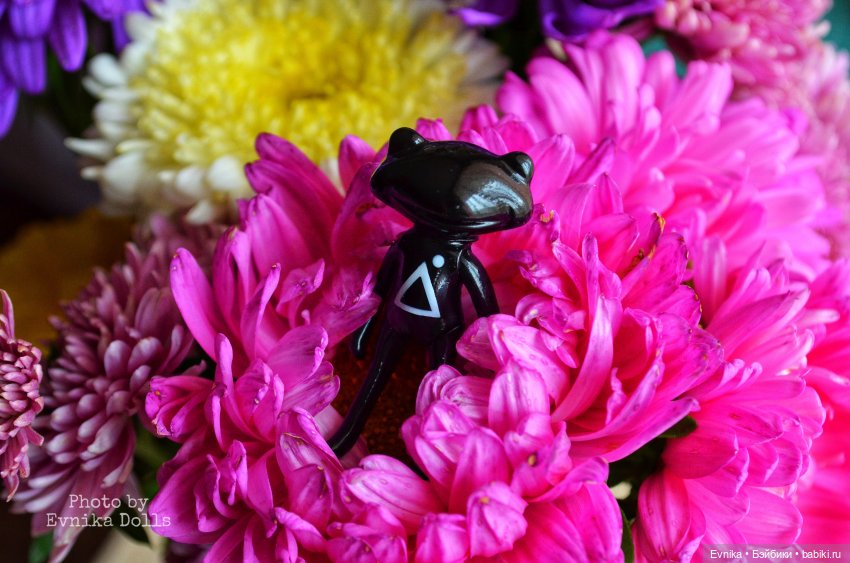 Ловись лягушка большая и маленькая