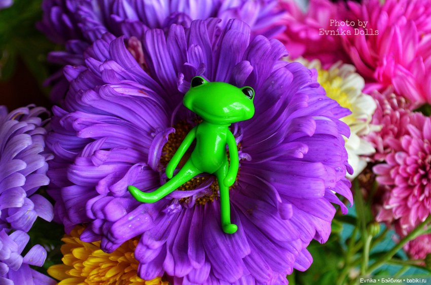 Ловись лягушка большая и маленькая