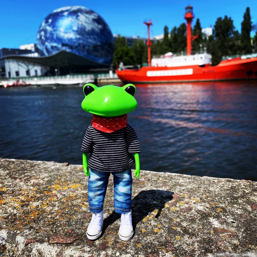 Ловись лягушка большая и маленькая (фото 10)