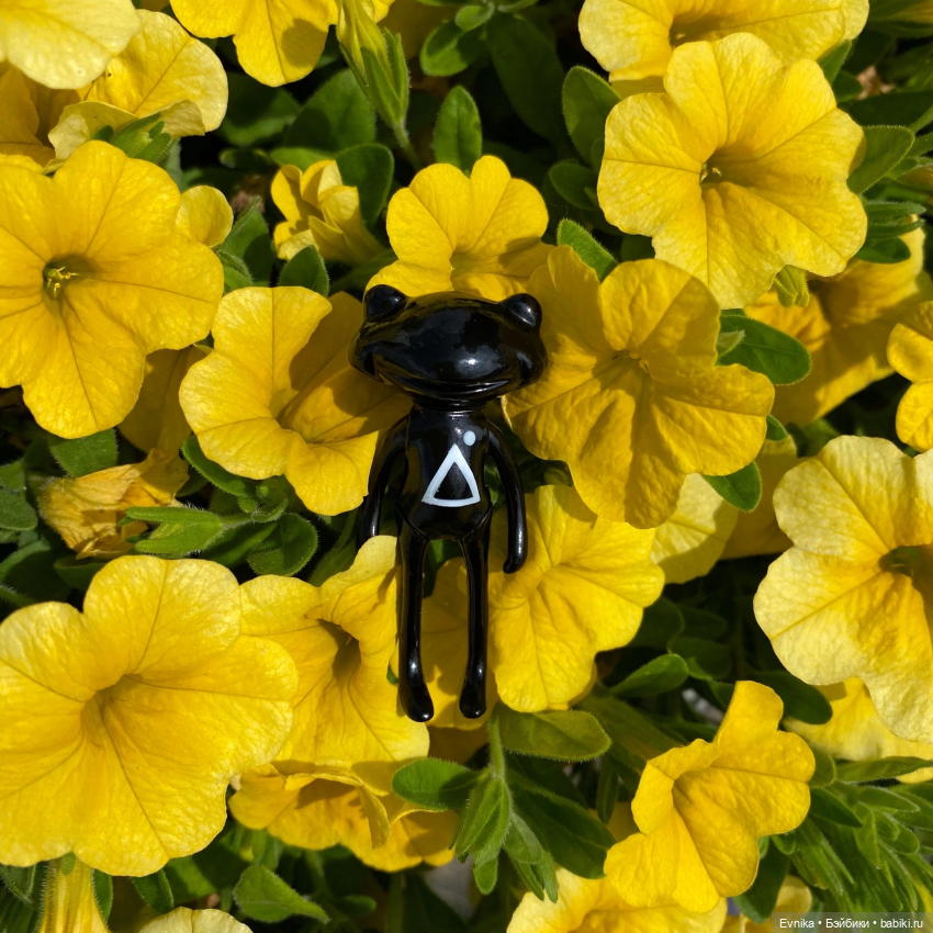 Ловись лягушка большая и маленькая (фото 7)