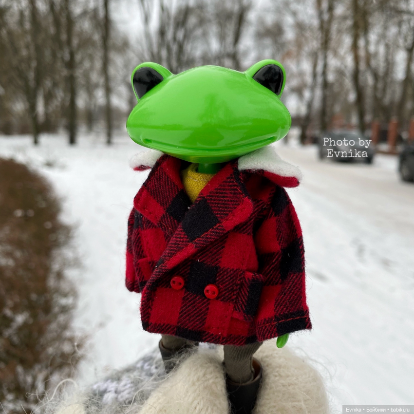 Чудо лягушки - фотоальбом