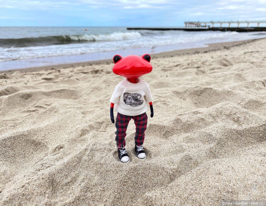 Чудо лягушки - фотоальбом (фото 3)