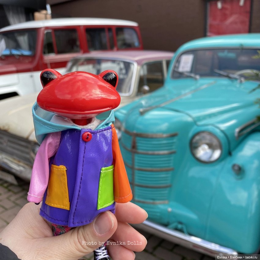 Чудо лягушки - фотоальбом (фото 2)