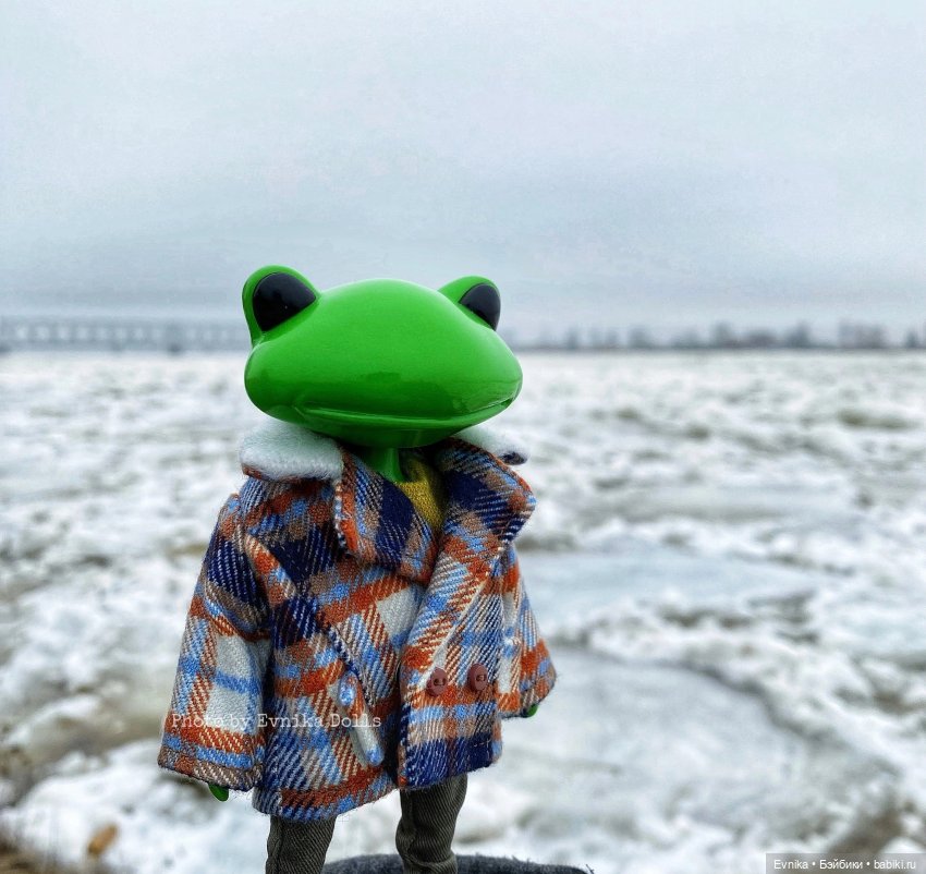 Чудо лягушки - фотоальбом