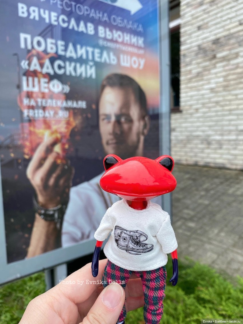 Чудо лягушки - фотоальбом (фото 4)