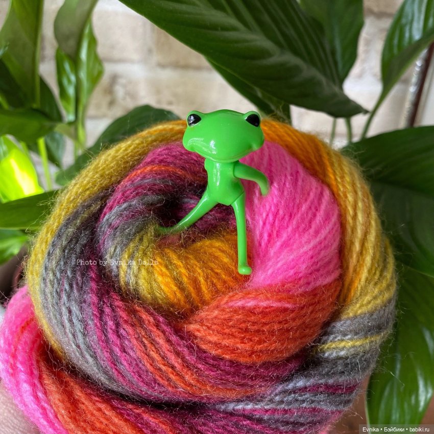 Чудо лягушки - фотоальбом