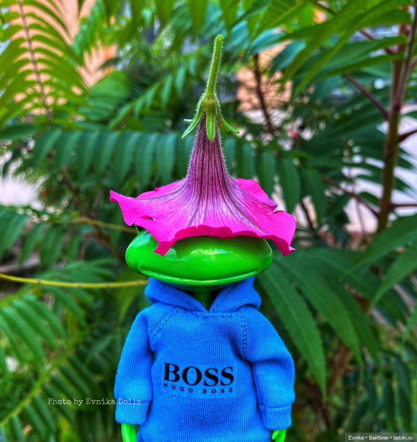 Чудо лягушки - фотоальбом (фото 7)