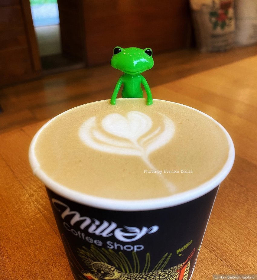 Чудо лягушки - фотоальбом