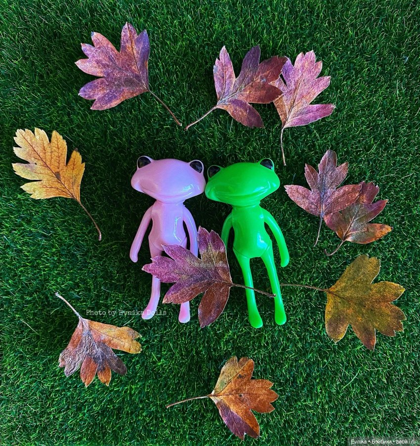 Чудо лягушки - фотоальбом