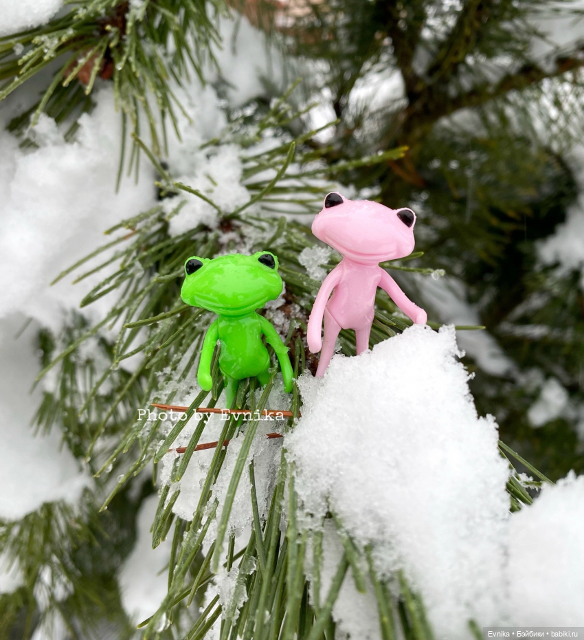 Чудо лягушки - фотоальбом