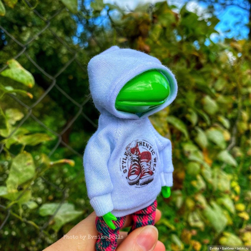 Чудо лягушки - фотоальбом (фото 9)