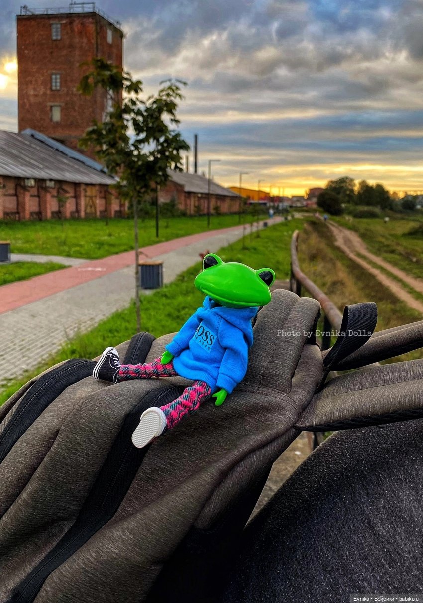 Чудо лягушки - фотоальбом (фото 8)