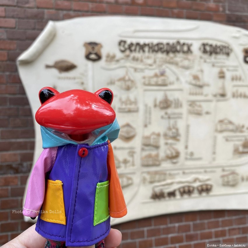 Чудо лягушки - фотоальбом