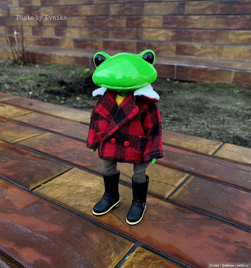 Чудо лягушки - фотоальбом