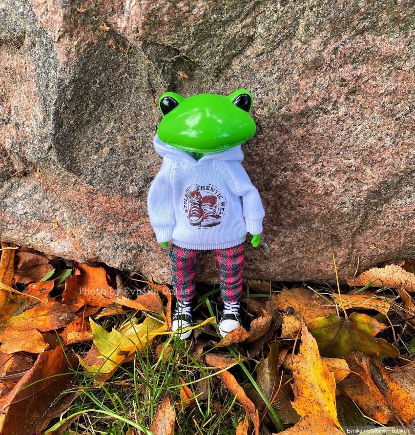 Чудо лягушки - фотоальбом (фото 10)