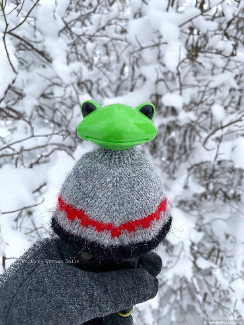 Чудо лягушки - фотоальбом