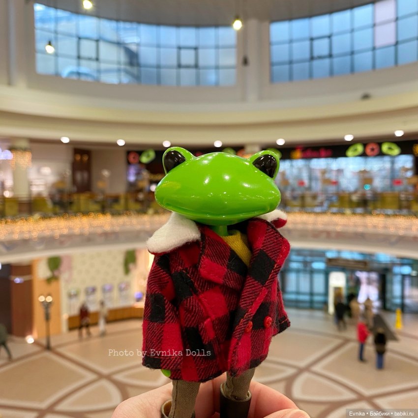 Чудо лягушки - фотоальбом