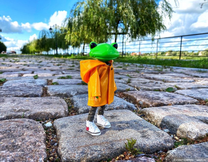 Чудо лягушки - фотоальбом (фото 6)
