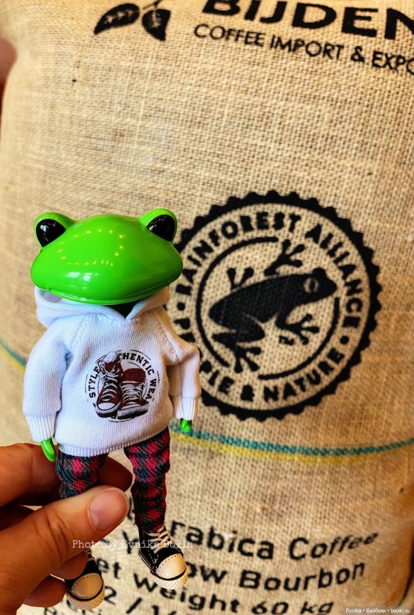 Чудо лягушки - фотоальбом