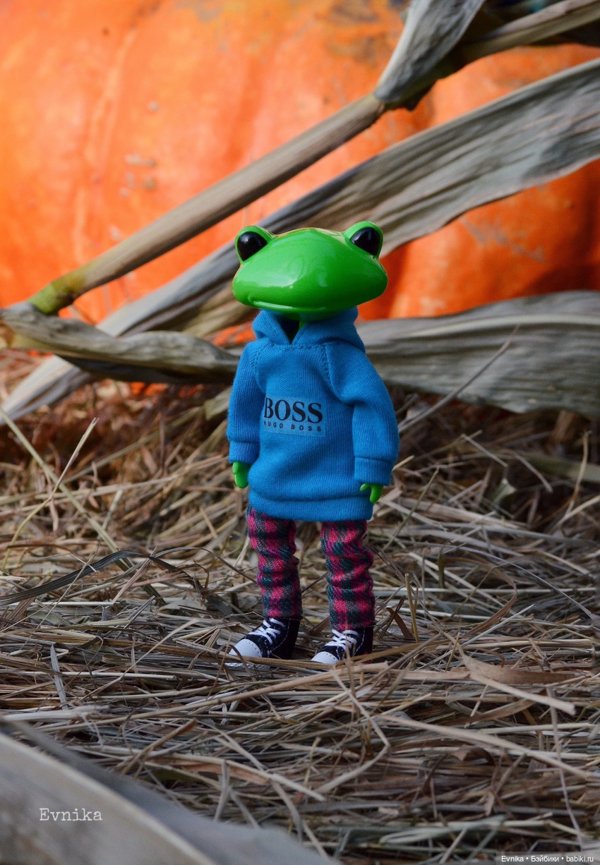 Чудо лягушки - фотоальбом