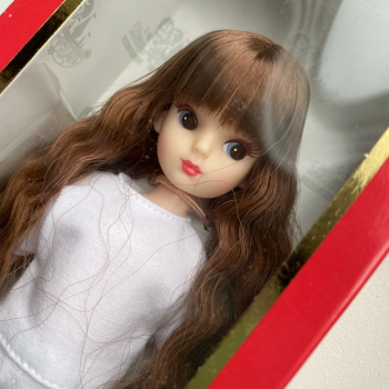 Repro Licca фотоальбом