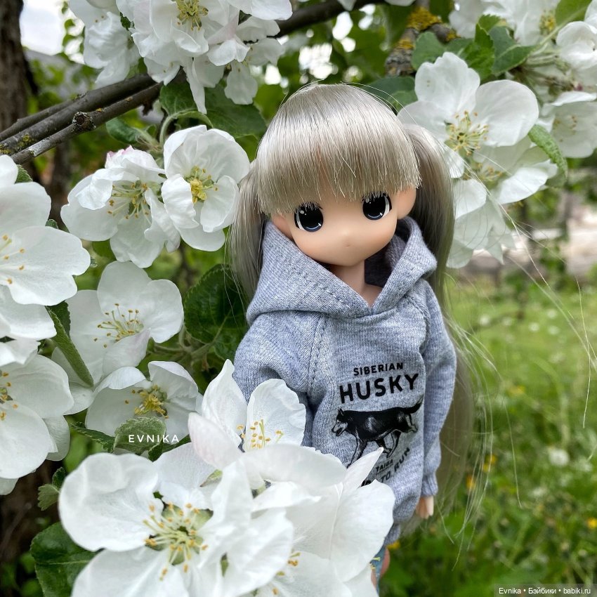 Mamachapp малявочки — Аниме куклы (MJD/Винил): Imomo (фото 10)