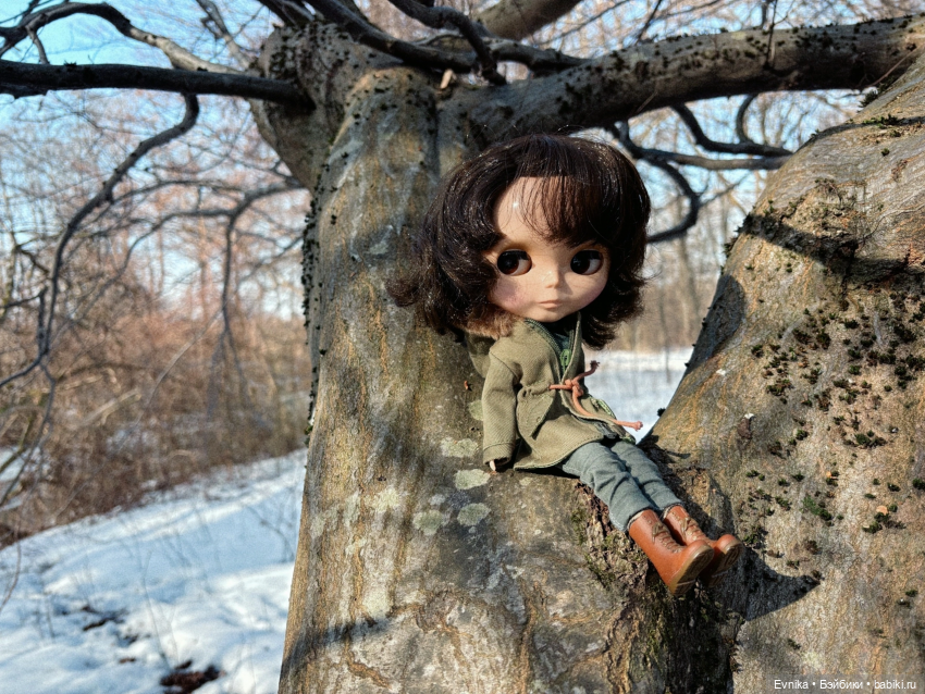 Neo Blythe Save the Animals (STA) (фото 6)