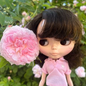 Neo Blythe Save the Animals (STA)