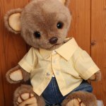 Мои мишутки тедди