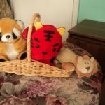 Шесть пушистов в поисках дома