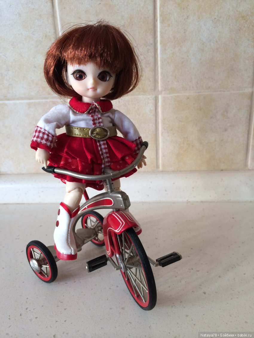 BJD Ai Миндаль, Имбирь, Цимбидиум