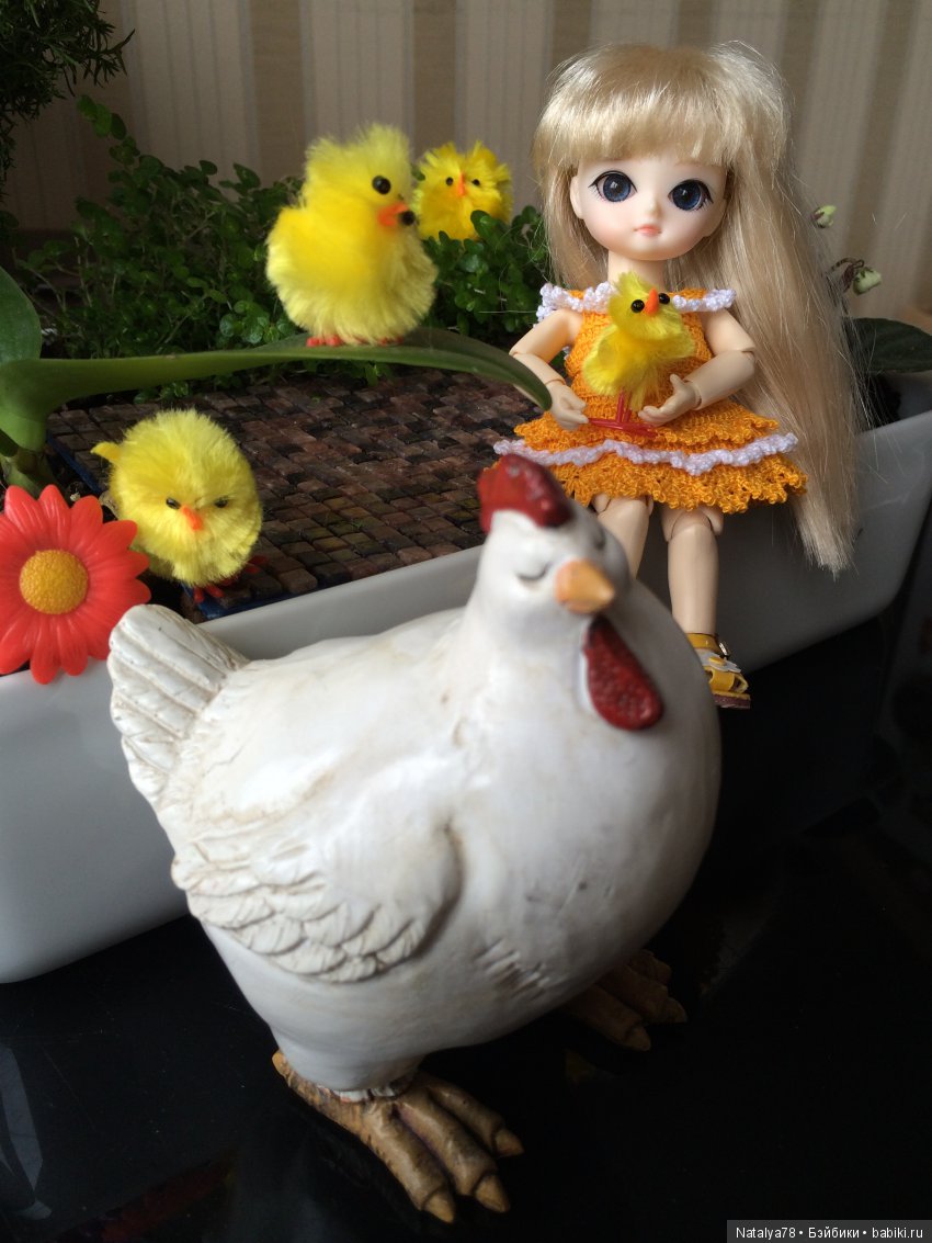 BJD Ai Миндаль, Имбирь, Цимбидиум