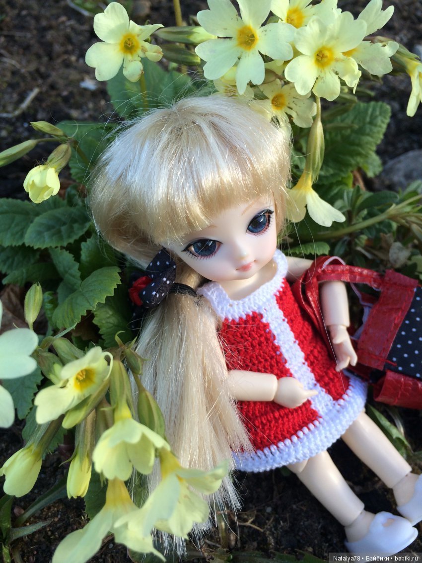 BJD Ai Миндаль, Имбирь, Цимбидиум