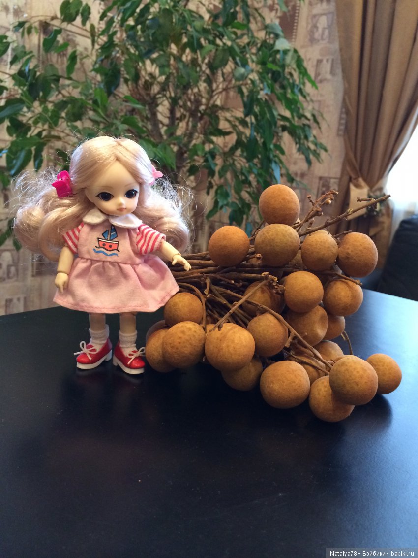 BJD Ai Миндаль, Имбирь, Цимбидиум