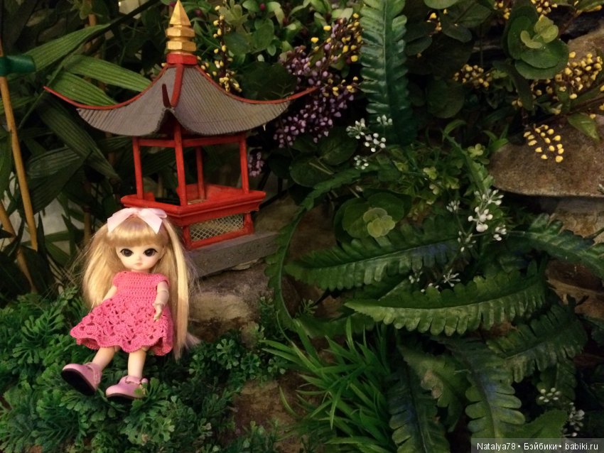 BJD Ai Миндаль, Имбирь, Цимбидиум