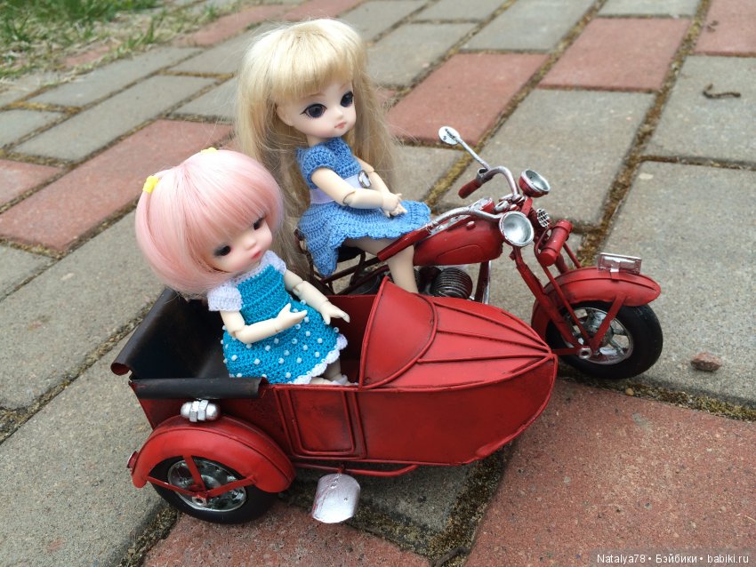 BJD Ai Миндаль, Имбирь, Цимбидиум