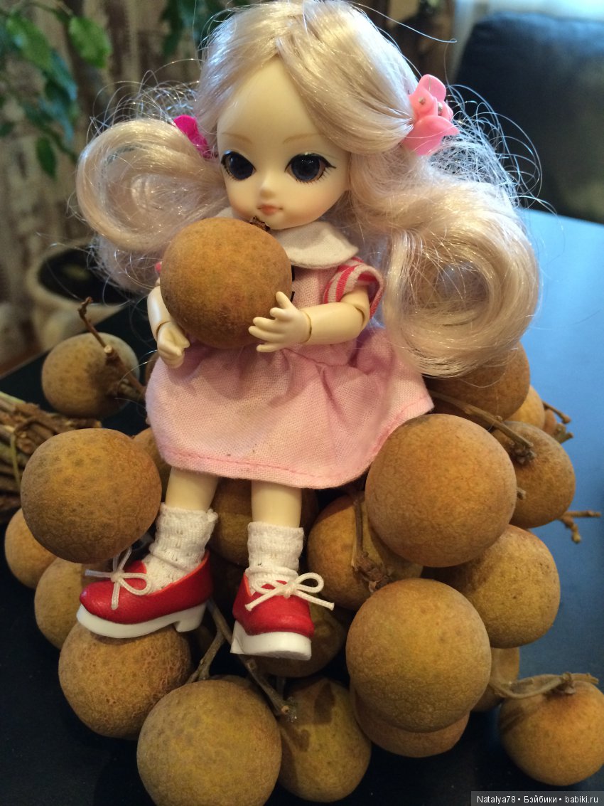 BJD Ai Миндаль, Имбирь, Цимбидиум