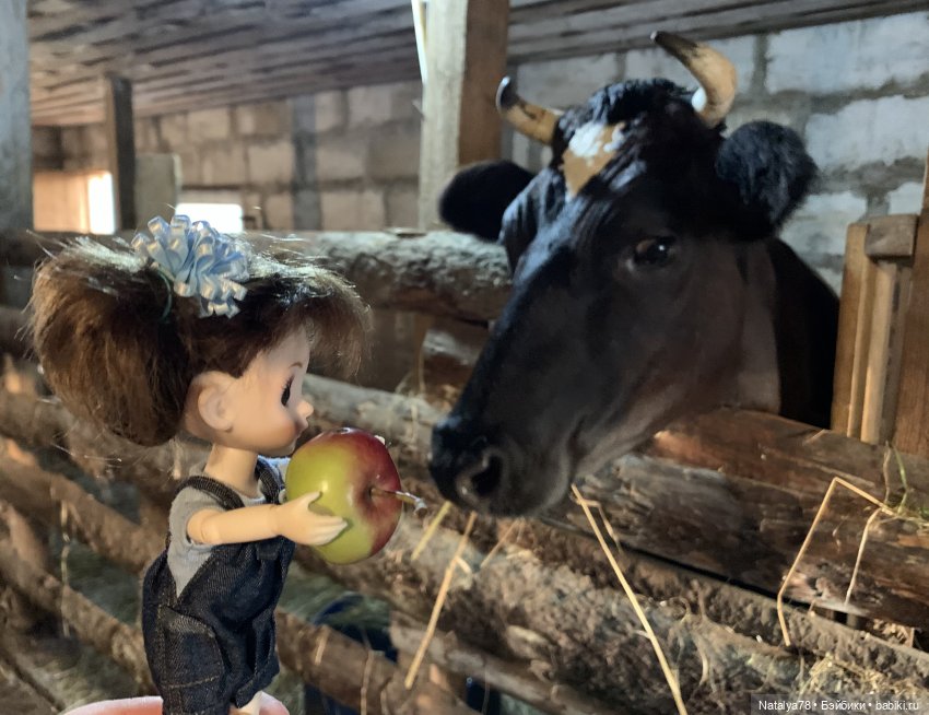 Знакомство Риты с коровой Мартой (фото 7)
