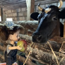 Знакомство Риты с коровой Мартой