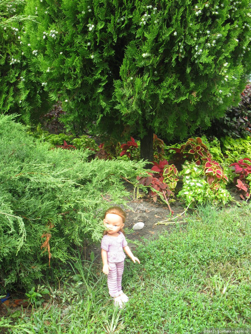 Белая невеста, Геленджик.Старый парк, Кабардинка (фото 7)