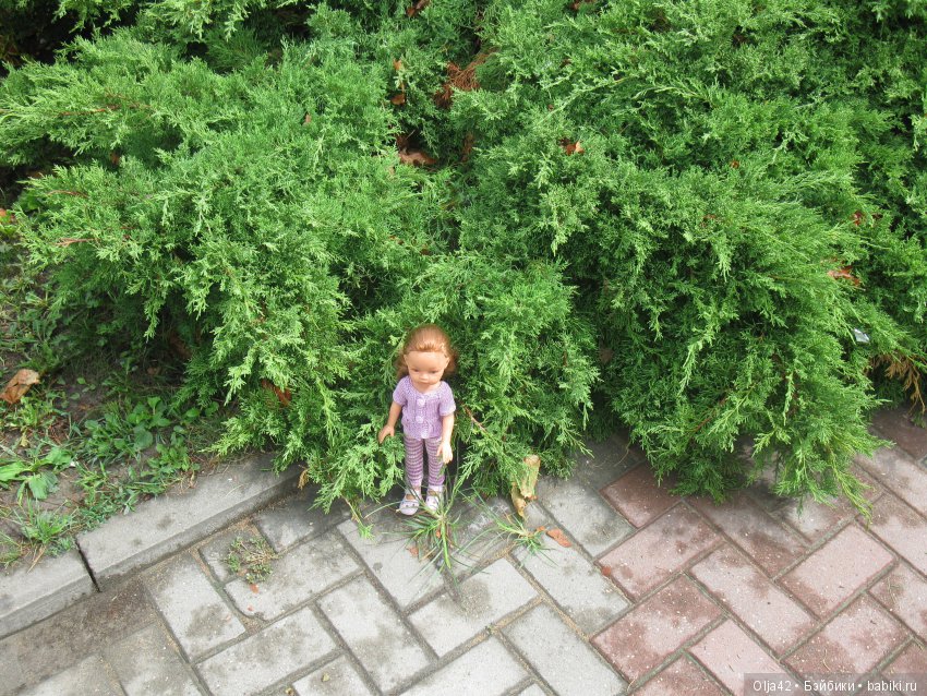 Белая невеста, Геленджик.Старый парк, Кабардинка (фото 9)