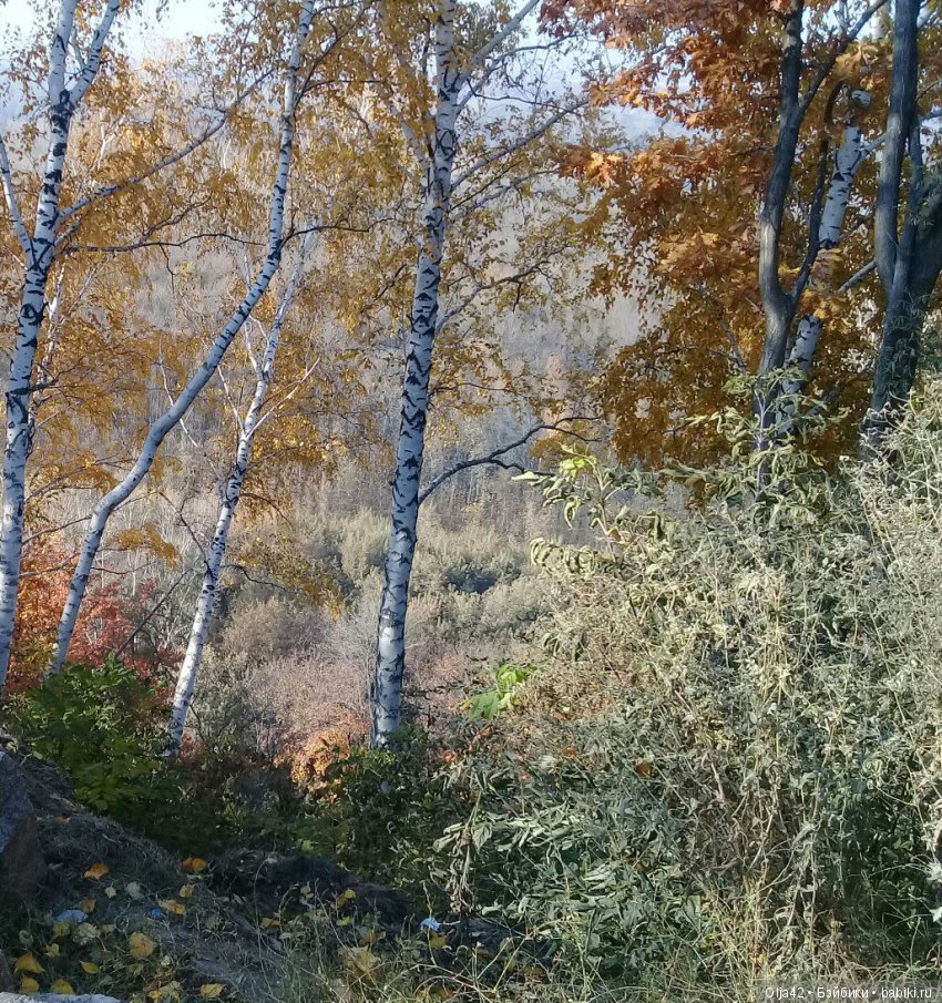 Осенние деньки — Туризм и путешествия: фотоотчеты из поездок
