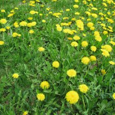 Детство. Что я помню о сваих игрушках