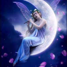 С чего начать большую коллекцию кукол и как выбрать ее направление?