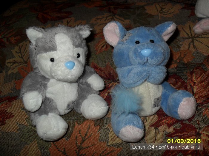 Хаски и дочкина шиншила Хаски и дочкина шиншилла