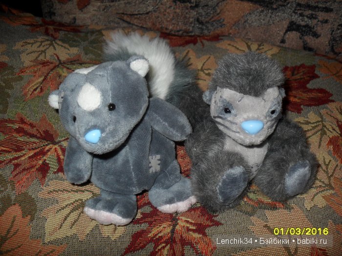 скунс и сурок скунс и сурок