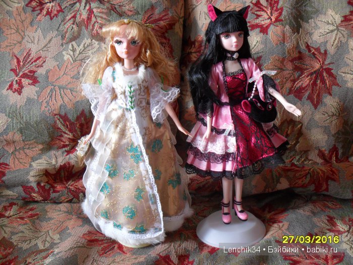 золотой листопад и кошечка